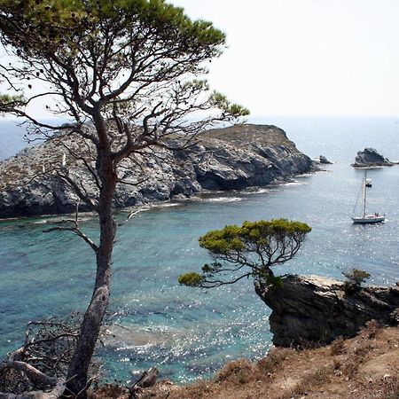 T2 vue mer 50m de la plage à Giens  Hyères Eksteriør bilde